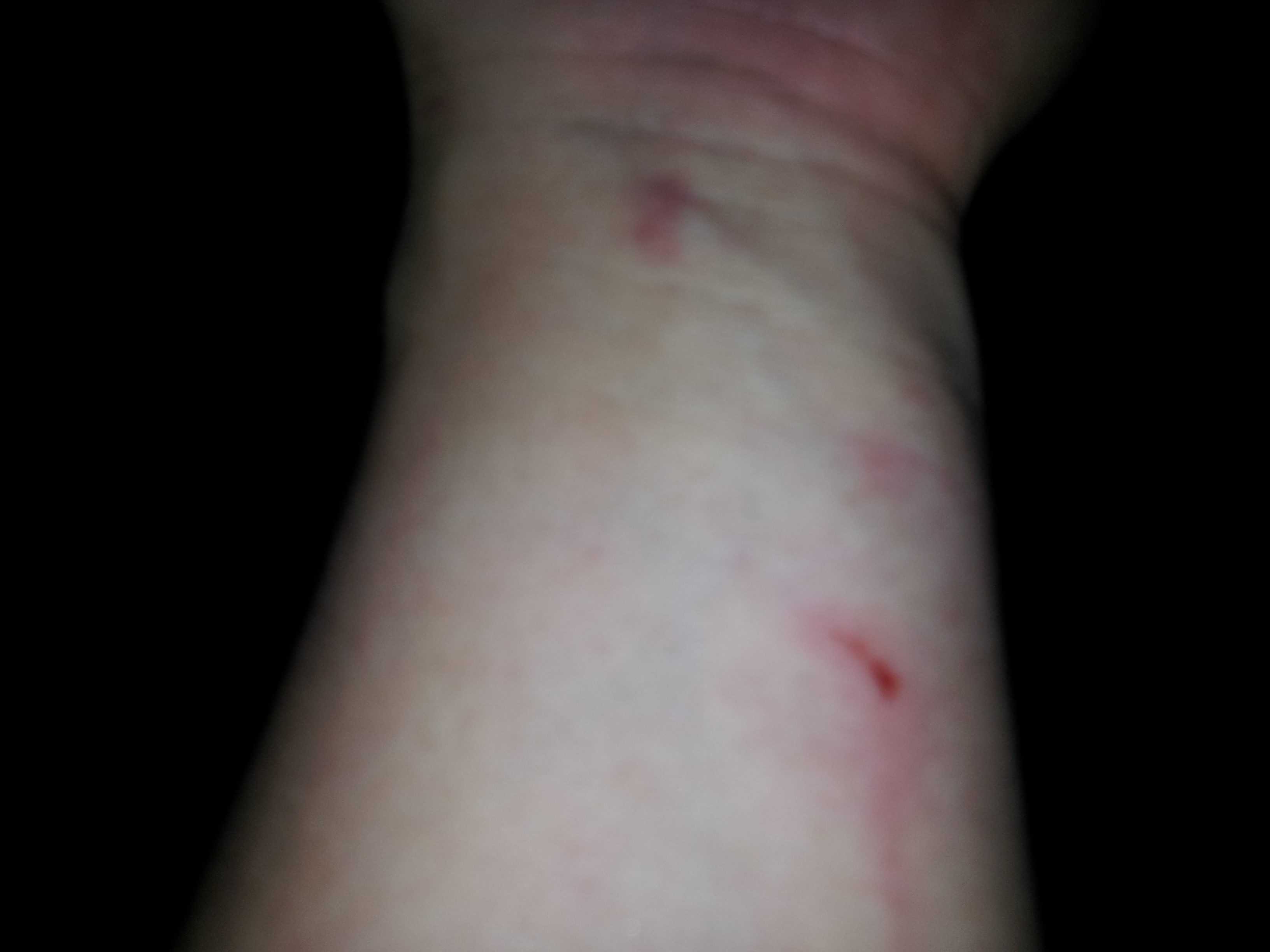 2013-06-11 02.34.47.jpg : 안양폭행사건의 전말