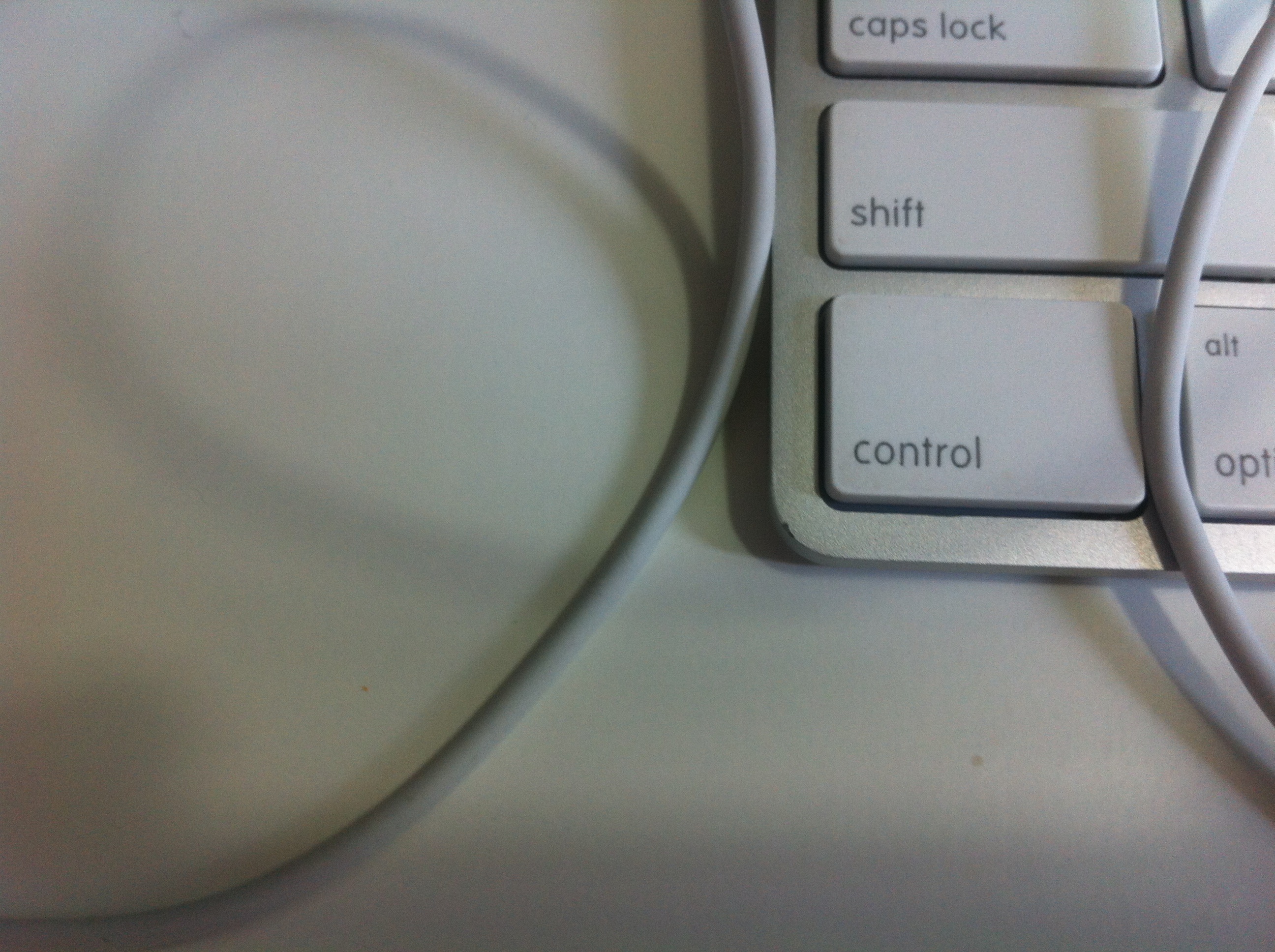 image.jpg : 모바일 사진 테스트