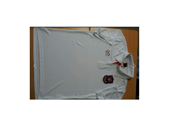 sdfsdf.png : 티셔츠 이런식으로 만들면 어떨까요?