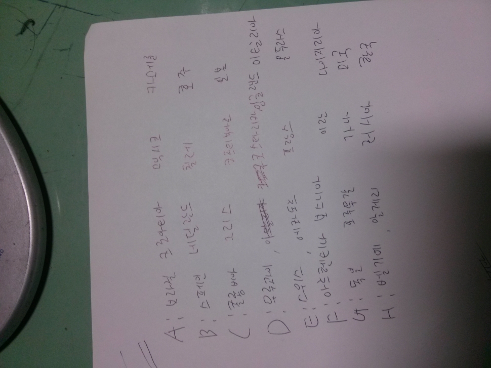 CAM00843.jpg : 월드컵